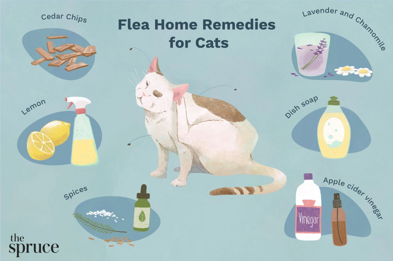 5 Simple Safe Ways to Keep Fleas Away from Your Cat