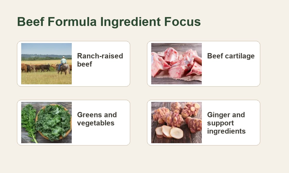 Is a Beef-Based Dog Food Right Before a Busy Holiday?