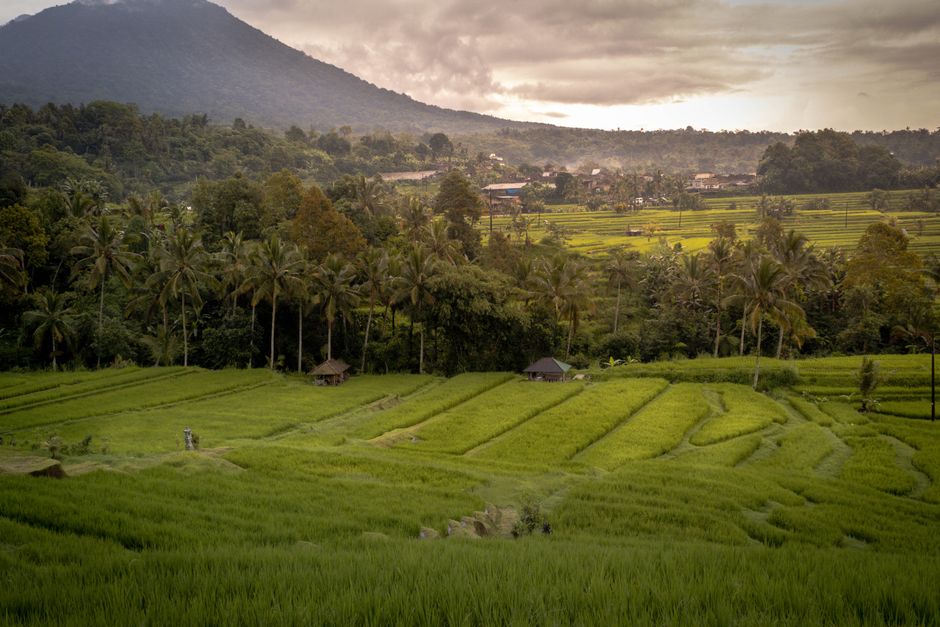 Bali 7-Day Itinerary 2026: The Real Hidden Gems and the Tourist Traps That Waste Your Money