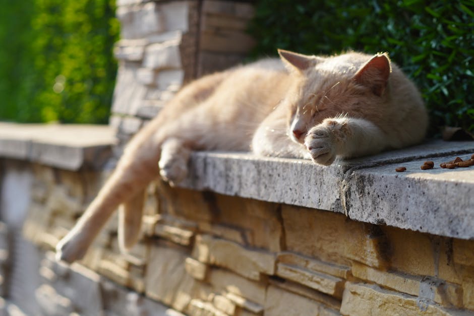 A ginger cat peacefully naps on a stone wall bathed in warm sunlight, surrounded by greenery.
