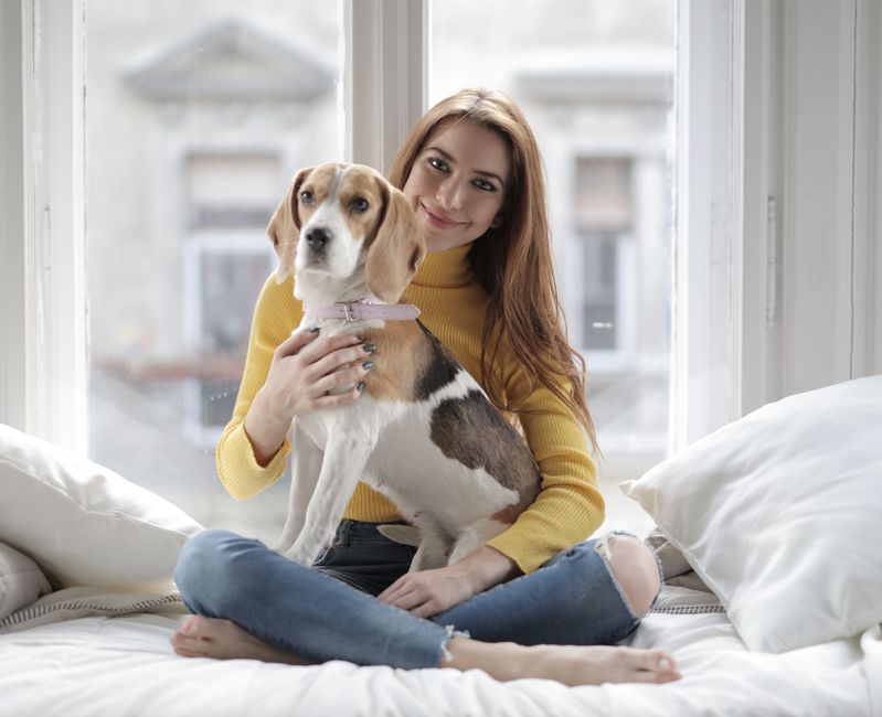 Best Dog Bed For Older Dogs: 5 Dog Bed Features That Actually Help Older Dogs Sleep Better