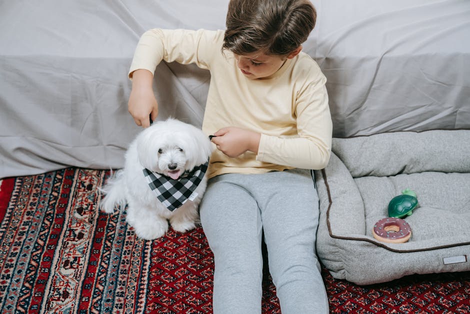 A child sits on a colorful carpet interacting with a small white dog wearing a bandana, next to a soft dog bed.
