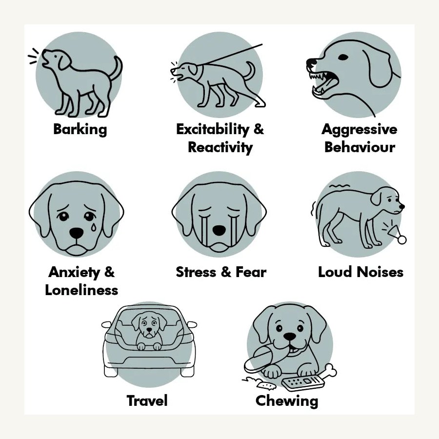 Pets Calm Down calming treat features and ingredients panel