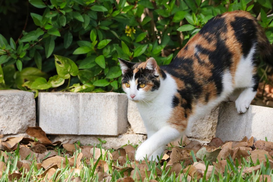 A calico cat explores a lush garden with vibrant greenery and fallen leaves, exuding a serene atmosphere.