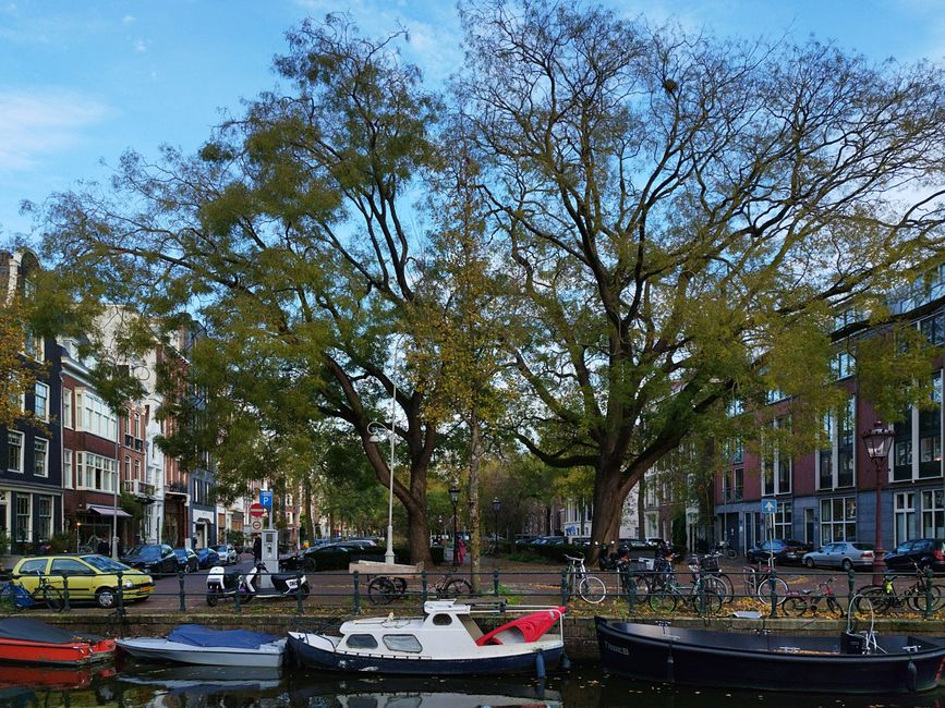 Scenic view of Amsterdam canal lined with boats, trees, and bicycles, embodying Dutch urban tranquility.