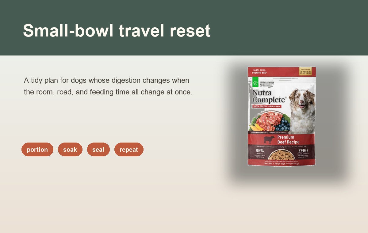 Build a Small-Bowl Travel Kit for Sensitive Dogs