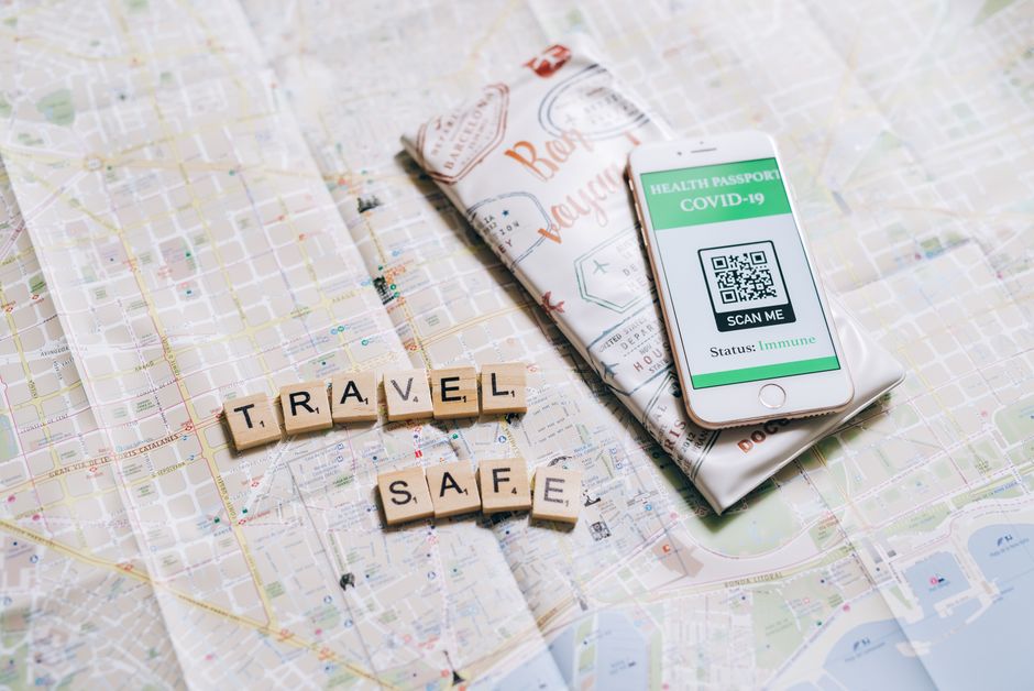 International Pet Travel Documents: What Actually Gets You Denied at the Border