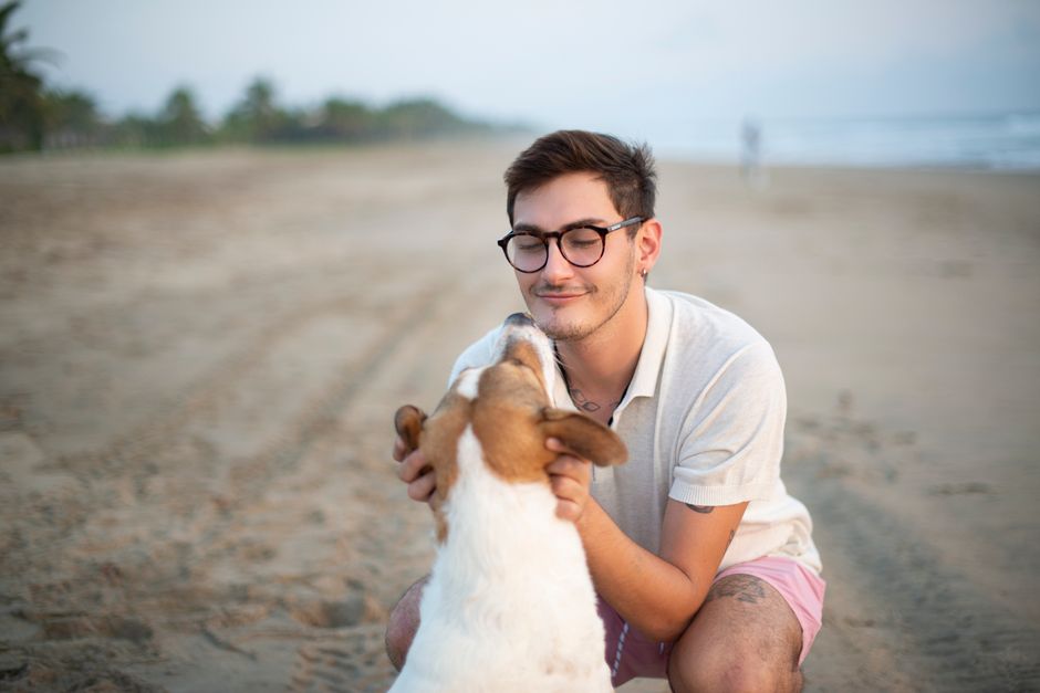 A serene moment of a man greeting his dog on Playa Blanca, Guerrero, Mexico during sunrise.