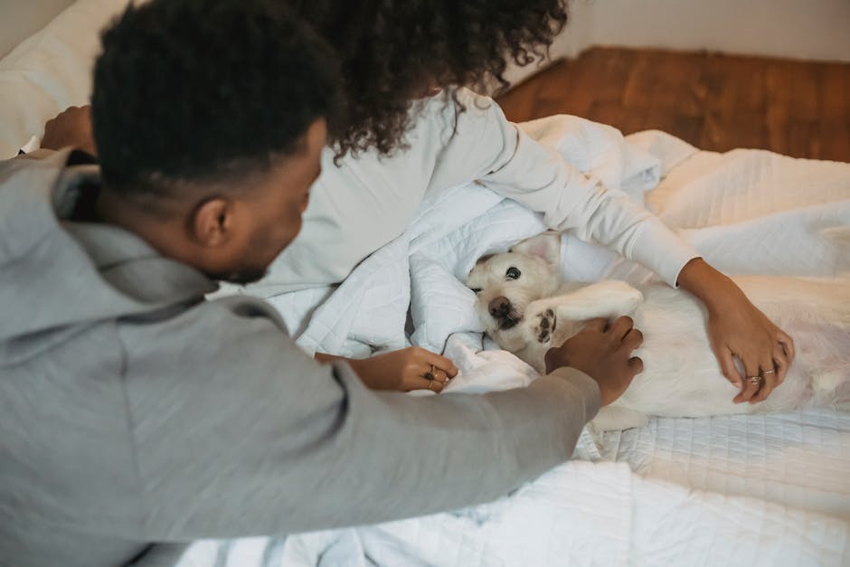 From above of crop African American couple resting in bedroom and stroking playful dog
