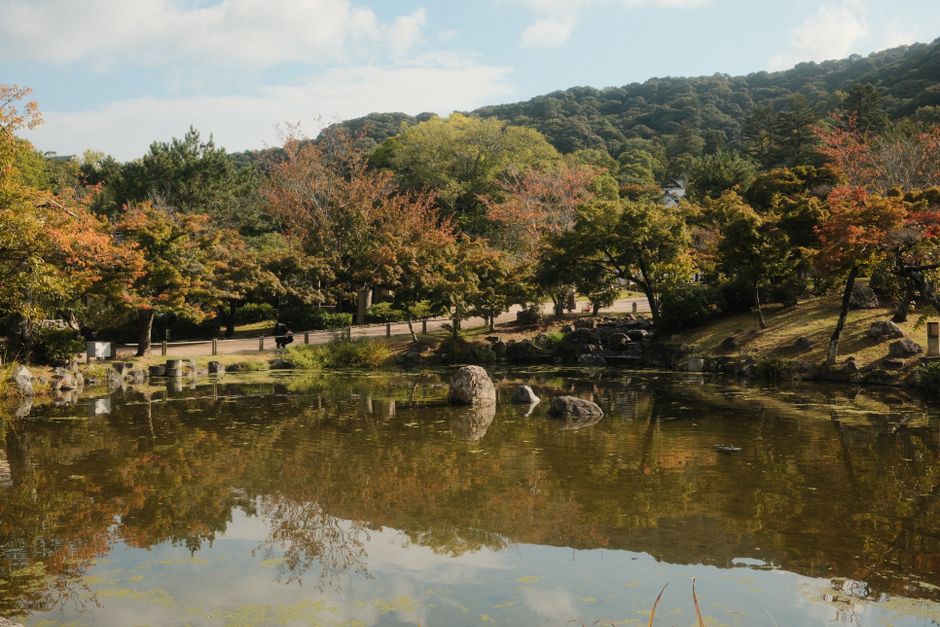Kyoto 4-Day Itinerary: Temples, Tea, and What Most Tourists Never See
