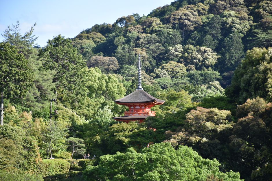 Beautiful pagoda surrounded by dense forest in Kyoto, Japan. Captures tranquility and nature's beauty.