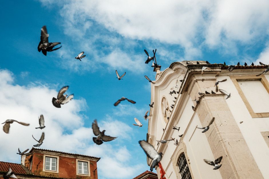 Lisbon Co-Working Spaces: The Digital Nomad’s Real Problem and Where to Actually Work