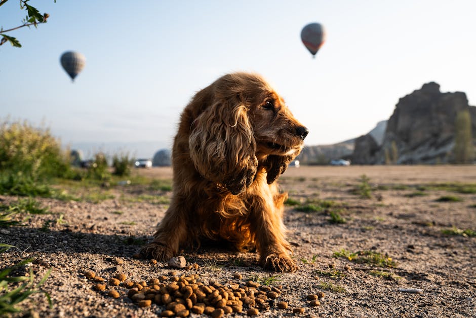 Cutting Pet Food Costs: What I Learned (2026)