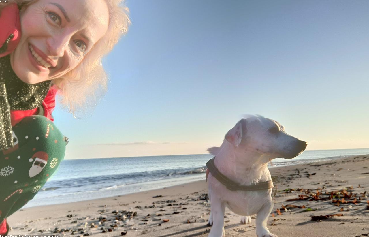 Pet Travel Reminders: Feeding, Medication, And Walk Timing