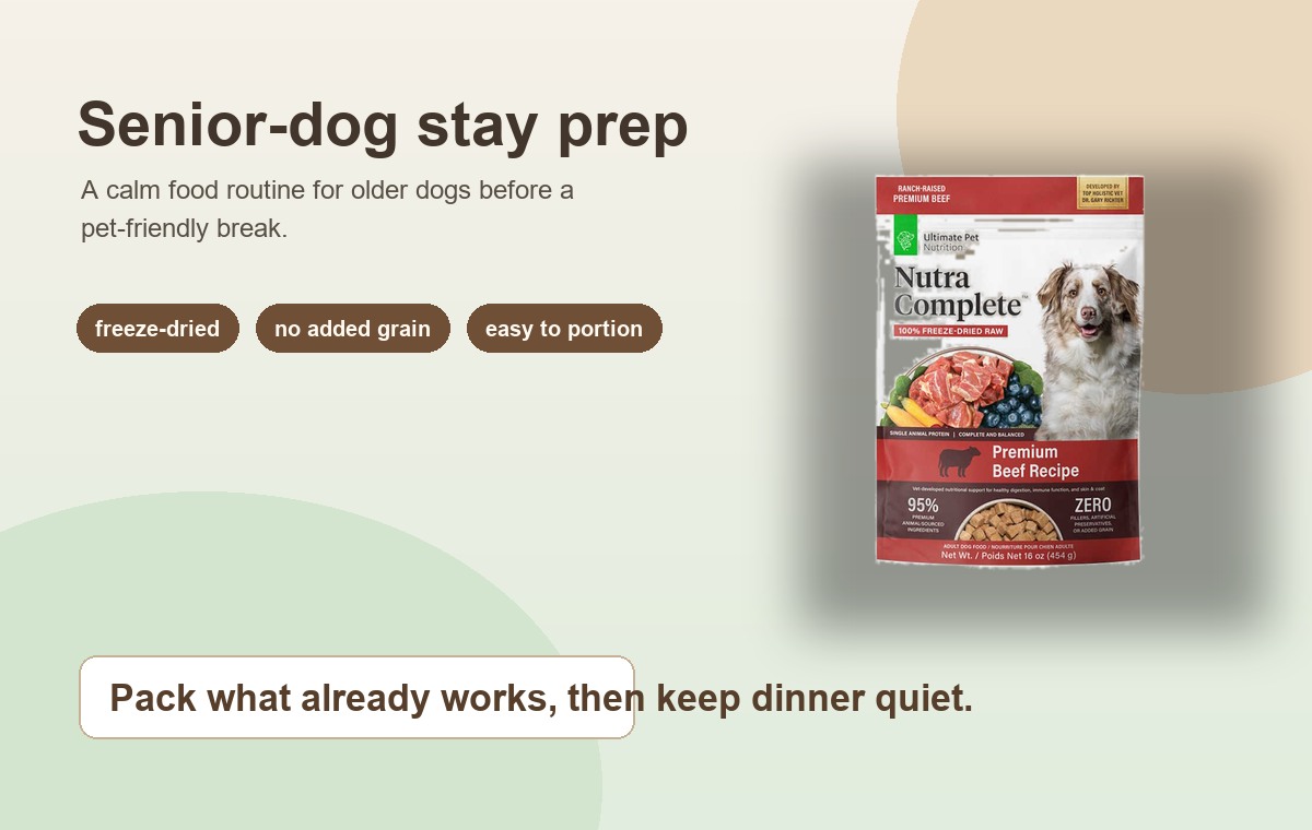 A Senior Dog Meal Routine for Pet-Friendly Trips